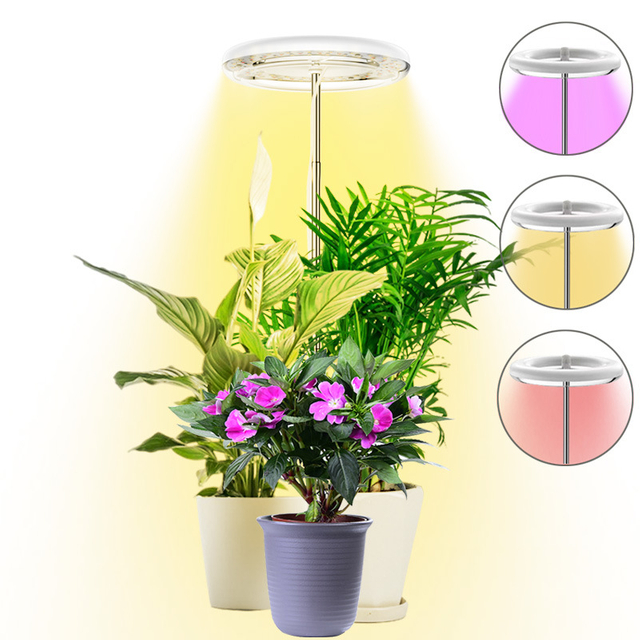 Dimmable Indoor Plants Succulents Bonsai Plant Growth Lamp With Timer Full Spectrum Grow Light LED Grow Lights